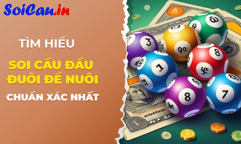 Soi cầu đầu đuôi đề nuôi là gì