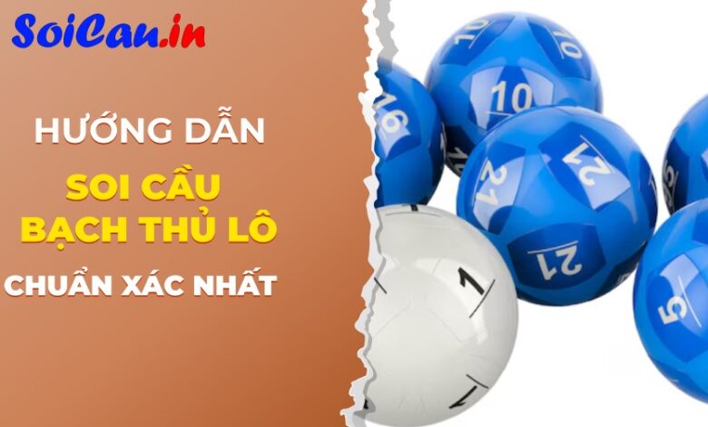 Bạch thủ lô là gì?