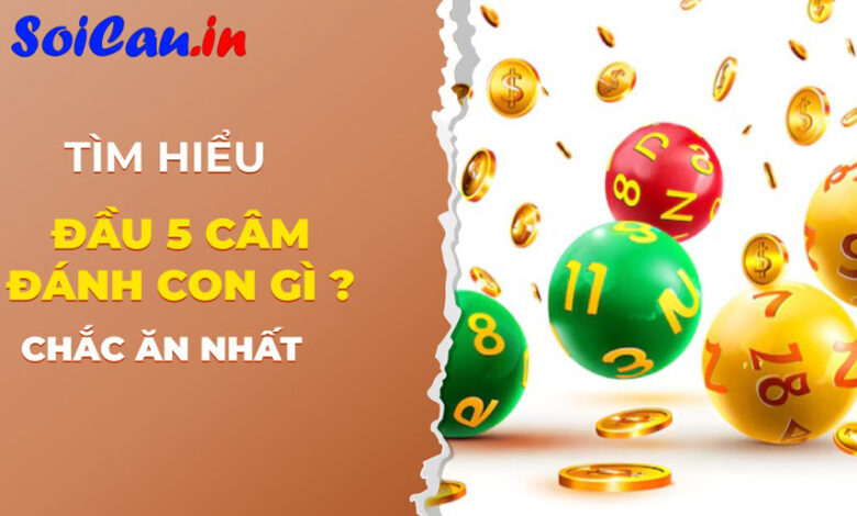 Đầu 5 câm đánh con gì