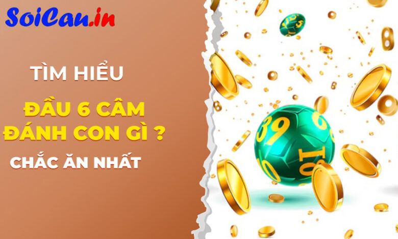 Đầu 6 câm đánh con gì