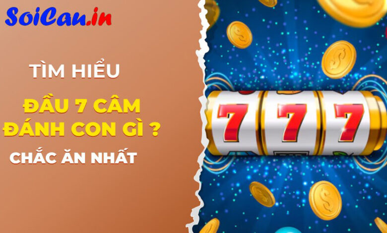 Đầu 7 câm đánh con gì