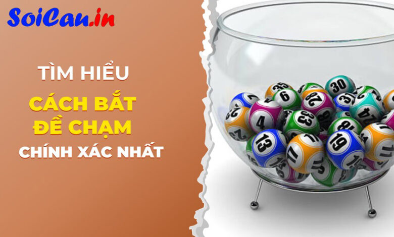 Cách bắt và tìm hiểu các loại chạm đề ngày hôm nay