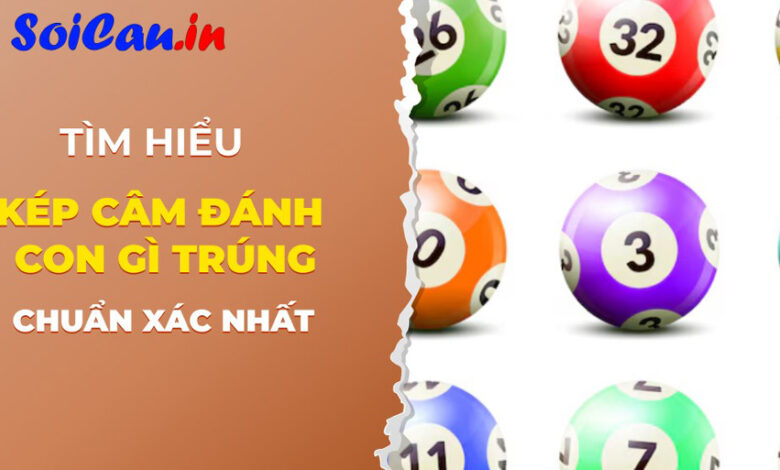 Kép câm đánh con gì trúng