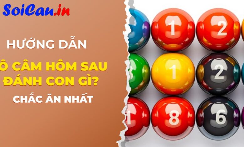 Khi lô đầu câm đánh con gì