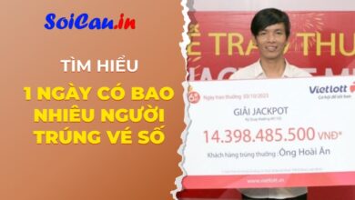 Tiết lộ bí mật 1 ngày có bao nhiêu người trúng vé số