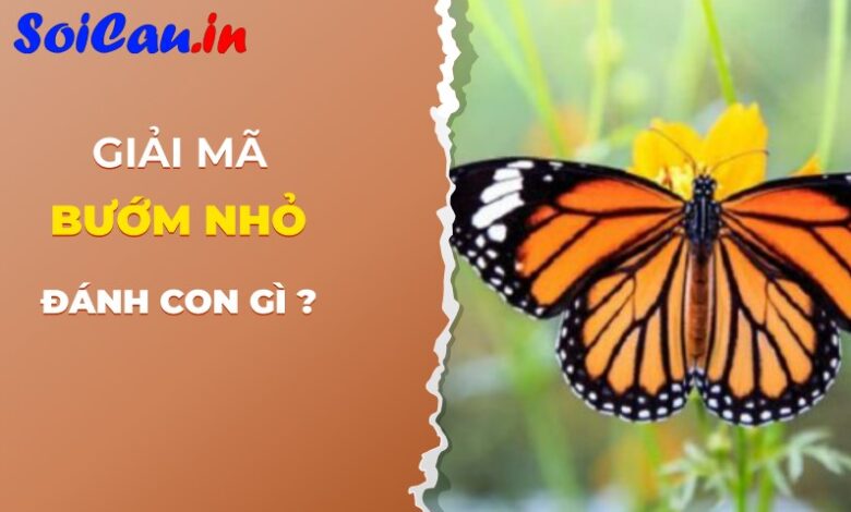 con bướm nhỏ số mấy chính xác