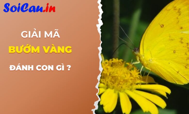 Con bướm vàng số mấy