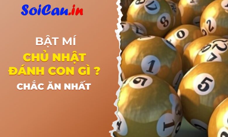 Chủ nhật đánh con gì