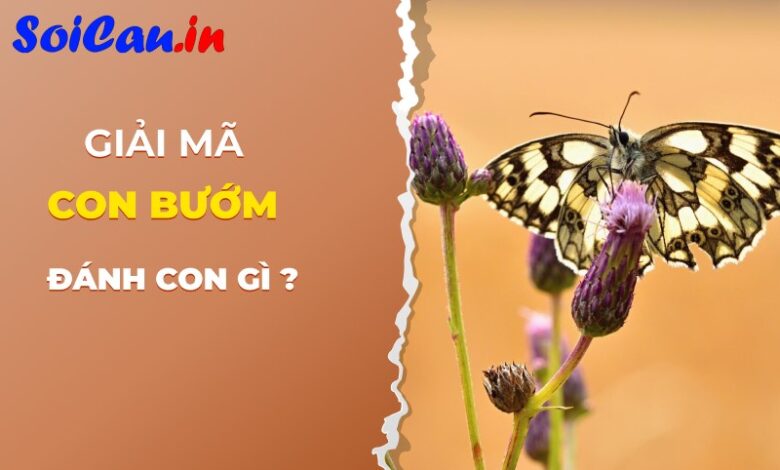 Con bướm số mấy trong lô đề