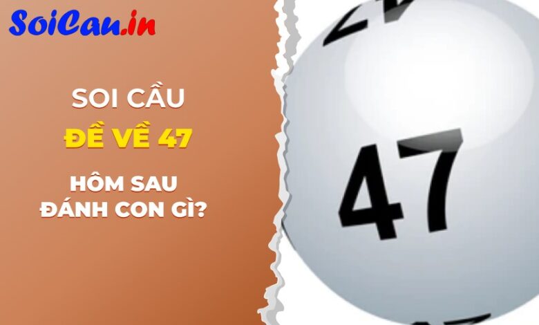 Thống kê đề về 47 hôm sau đánh con gì