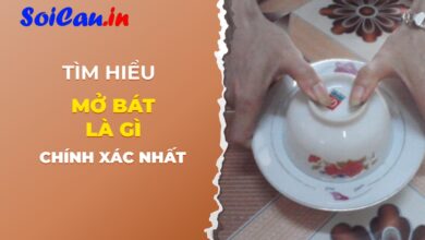 Mở bát là gì