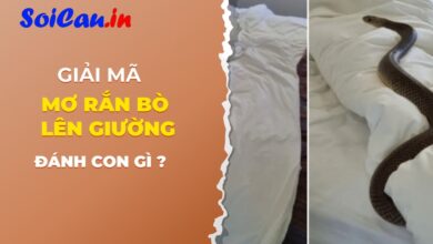 mơ thấy rắn bò lên giường