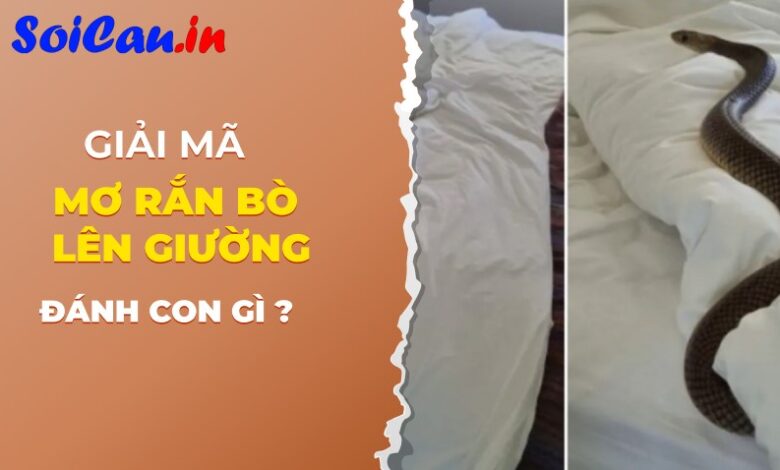 mơ thấy rắn bò lên giường