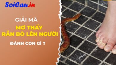 mơ thấy rắn bò lên người