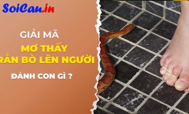 mơ thấy rắn bò lên người