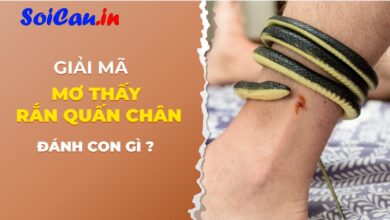 giấc mơ thấy rắn quấn chân