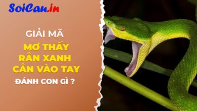 Nằm mơ thấy rắn xanh cắn vào tay