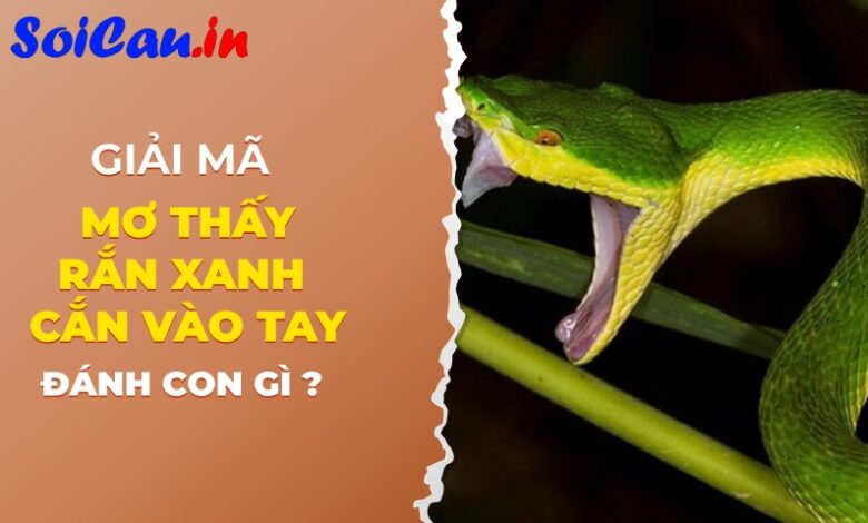 Nằm mơ thấy rắn xanh cắn vào tay