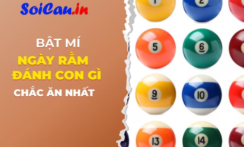 Ngày rằm đánh con gì?