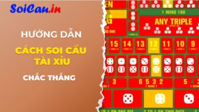 Hướng dẫn cách soi cầu tài xỉu online